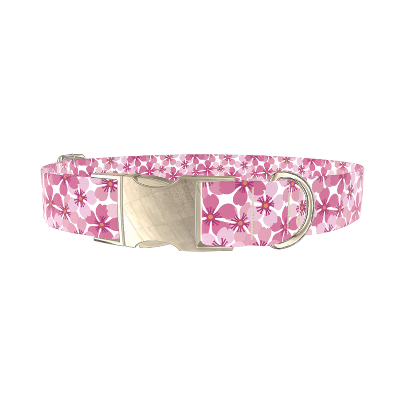 Pink Sakura Blossom Dog Collar