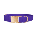 Blue Magenta Violet Color Dog Collar - Thumbnail 2