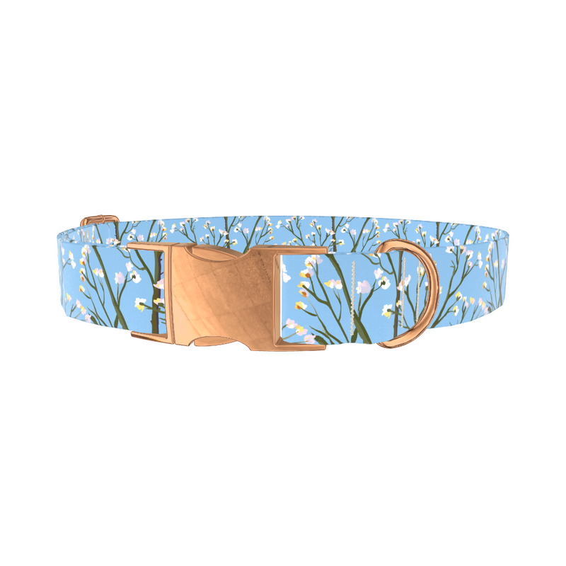 Floral Branches Dog Collar