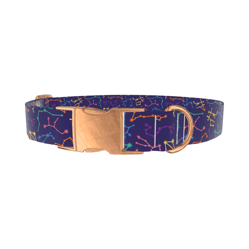 Zodiac Constellation Dog Collar