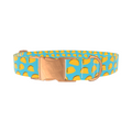 Blue Taco Dog Collar - Thumbnail 2