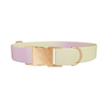 Sunset Gradient Dog Collar - Thumbnail 2