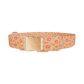 Orange Citrus Dog Collar - Thumbnail 2
