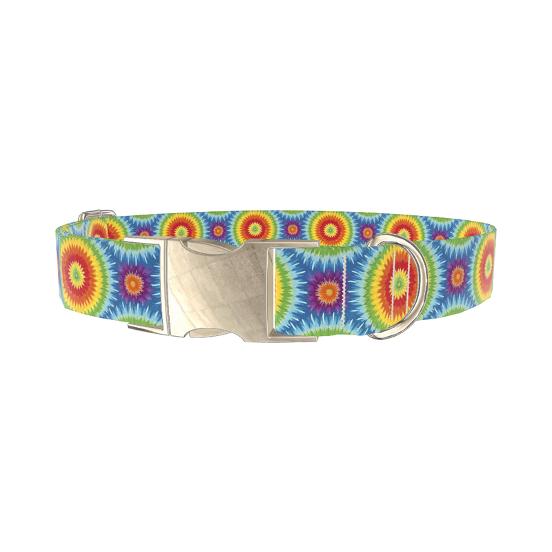 Rainbow Burst Dog Collar