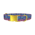 Groovy Wave Dog Collar - Thumbnail 1