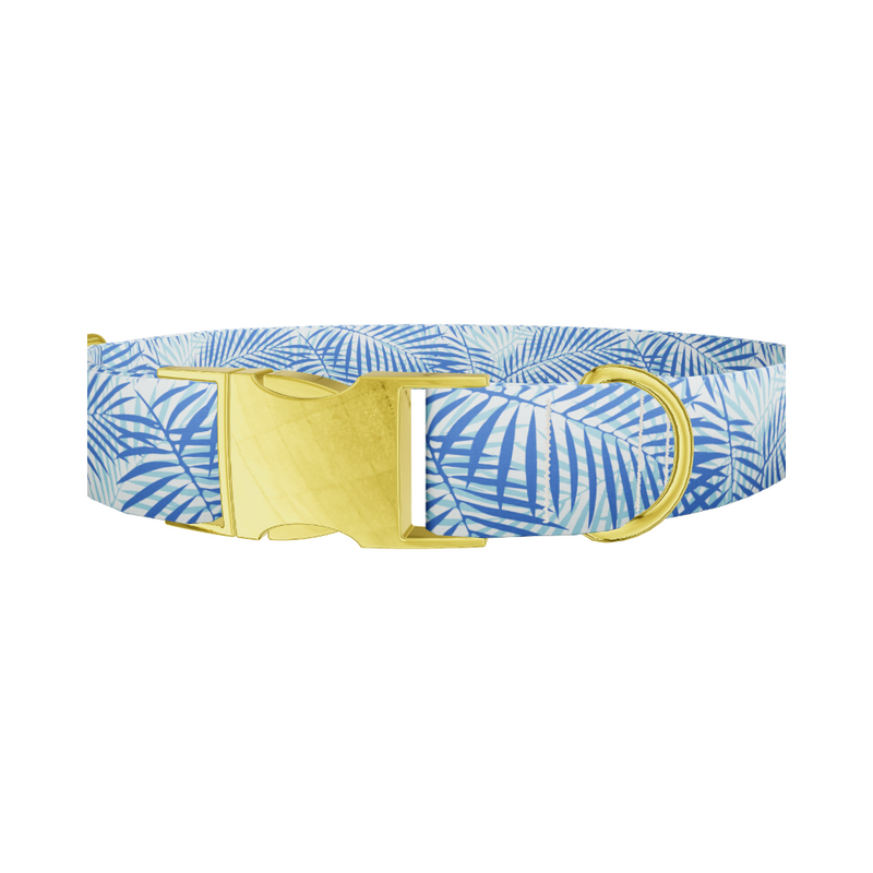 Tropical Palm Leaf Dog Collar