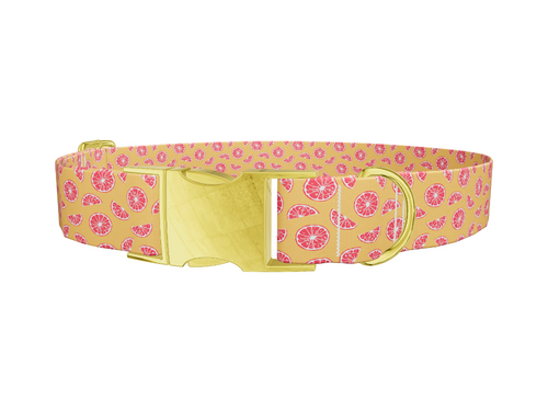 Orange Citrus Dog Collar
