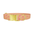 Orange Citrus Dog Collar - Thumbnail 1