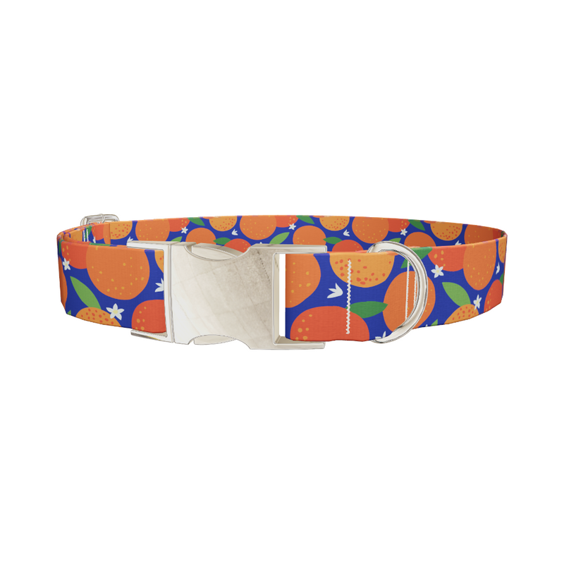 Orange Fruit Dog Collar