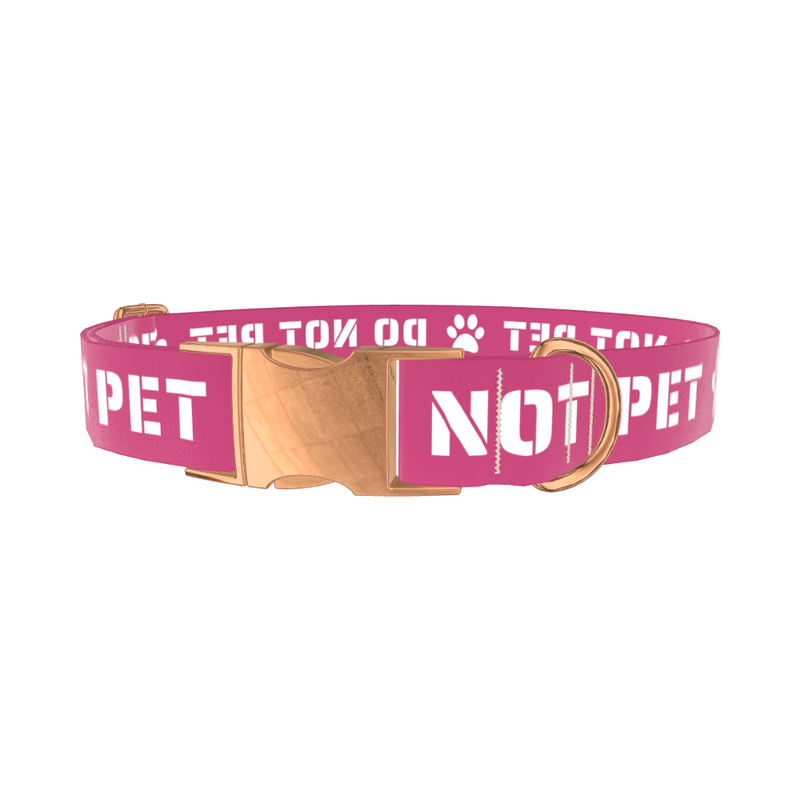 Do Not Pet Dog Collar