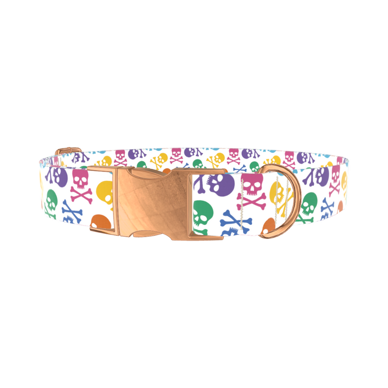 Colorful Skull Pattern Dog Collar