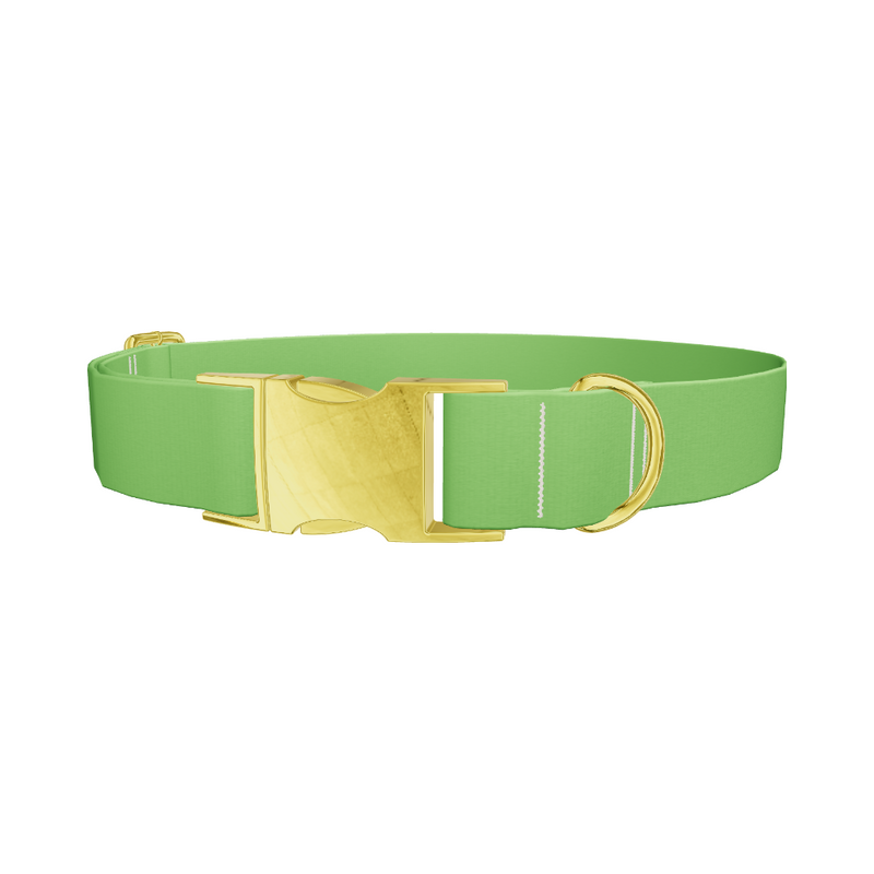 Lost Golfer Color Dog Collar