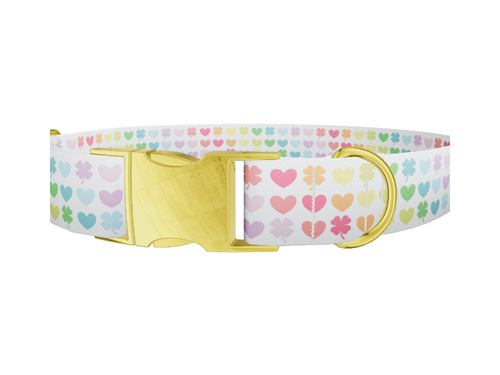 Rainbow Heart and Clover Dog Collar