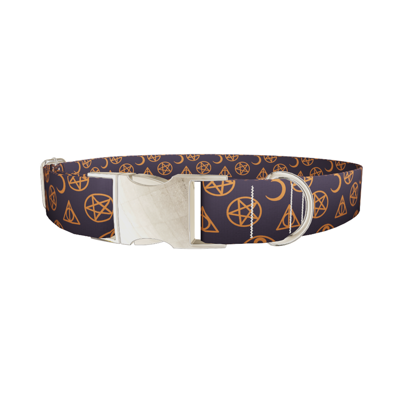 Halloween Witchy Dog Collar