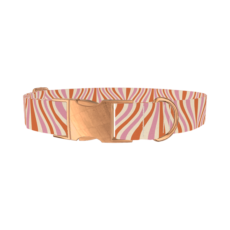 Retro Stripes Dog Collar