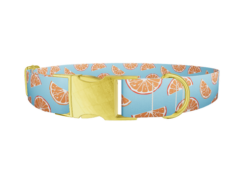 Citrus Slice Dog Collar