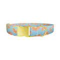 Citrus Slice Dog Collar - Thumbnail 1