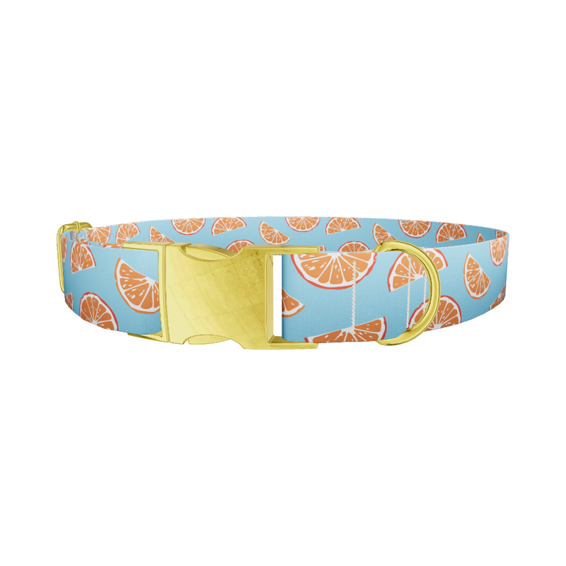 Citrus Slice Dog Collar