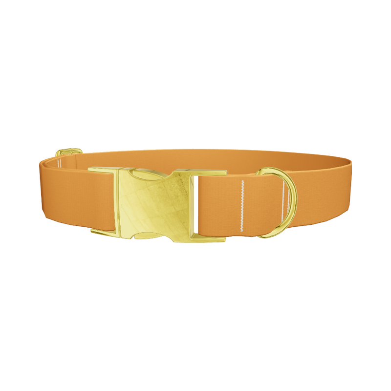 Status Bronze Color Dog Collar