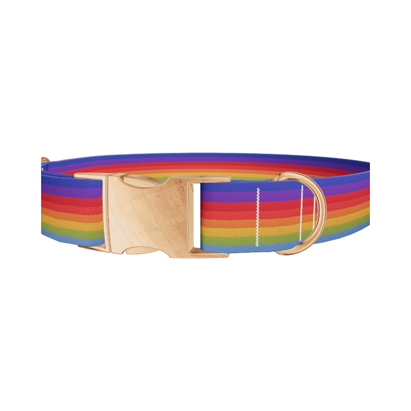 Rainbow Hexagon Dog Collar