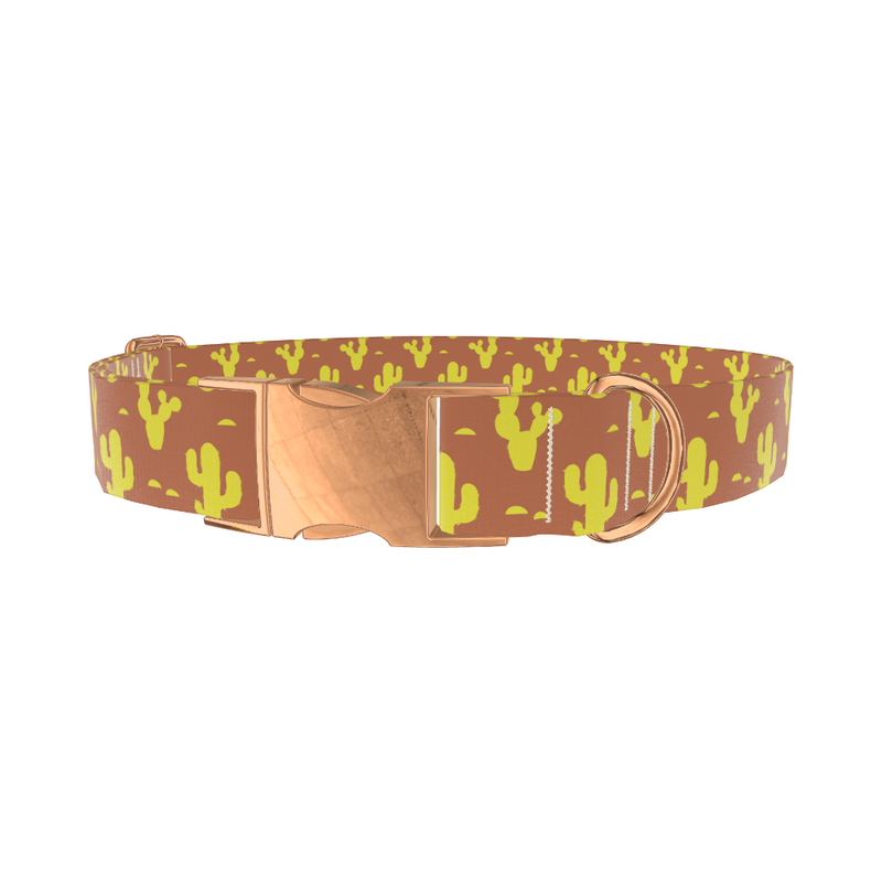 Western Cactus Dog Collar