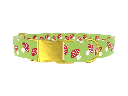 Green Mushroom Dog Collar