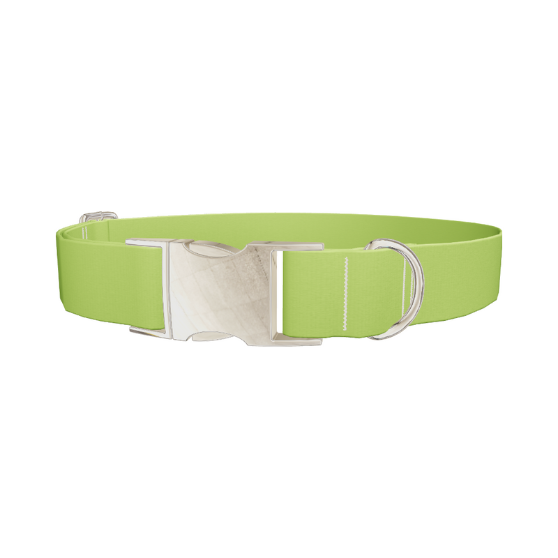 Seductive Thorns Color Dog Collar