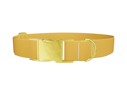 Shì Zǐ Chéng Persimmon Color Dog Collar