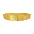 Shì Zǐ Chéng Persimmon Color Dog Collar - Thumbnail 1