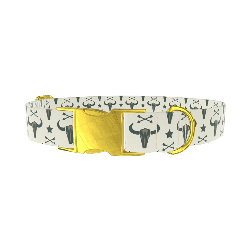 Western Skull and Arrows Dog Collar