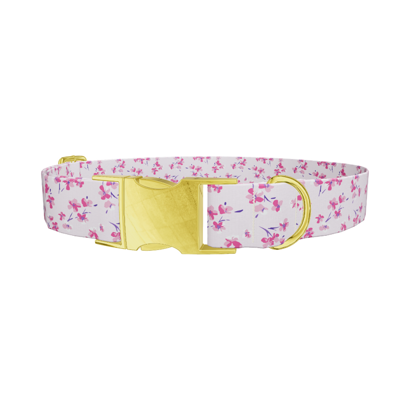 Floral Cherry Blossom Dog Collar