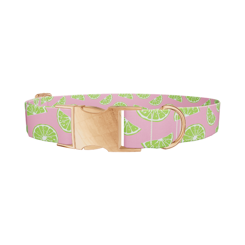 Pink Citrus Dog Collar