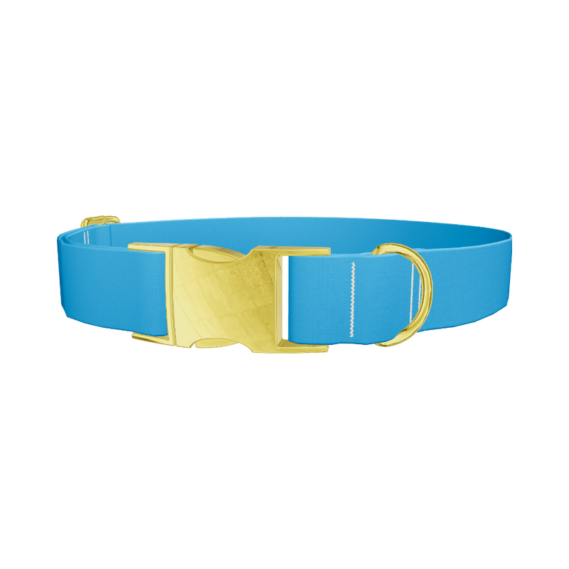 Atmosphere Color Dog Collar
