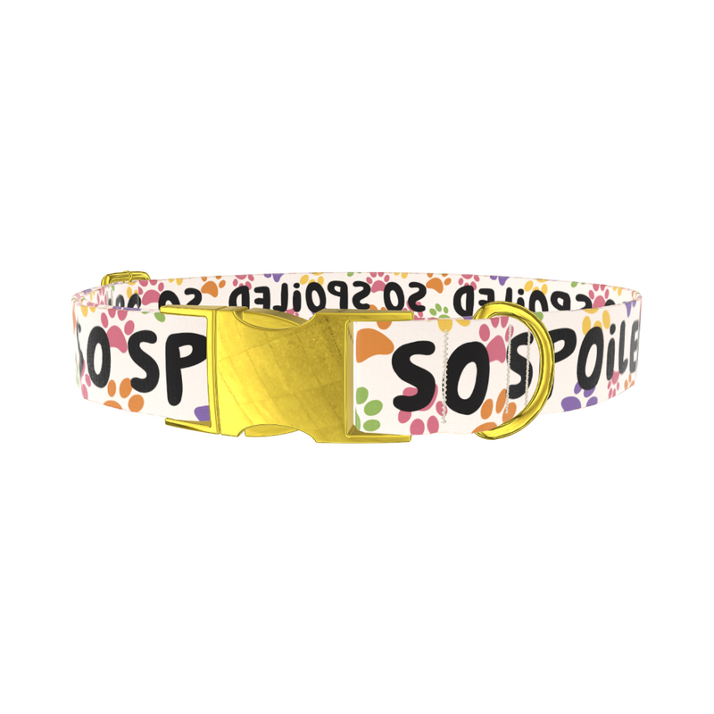 Paw Print Pattern Dog Collar