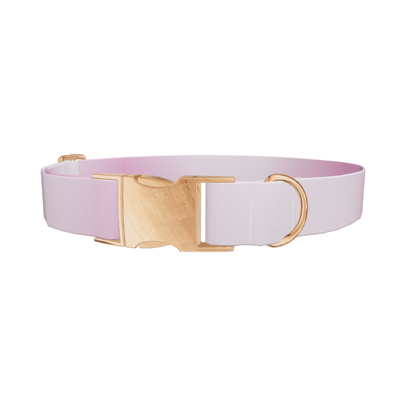 Pink Gradient Dog Collar