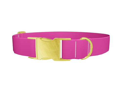 Smitten Color Dog Collar