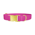Smitten Color Dog Collar - Thumbnail 1