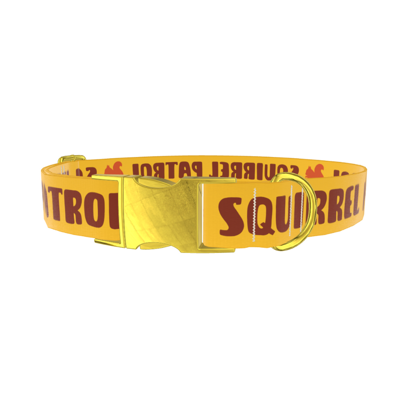 Yellow Squirrel Dog Collar