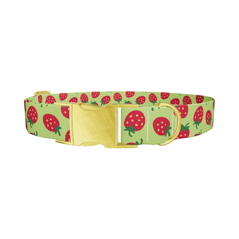 Strawberry Pattern Dog Collar
