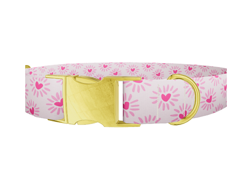 Heart Burst Dog Collar