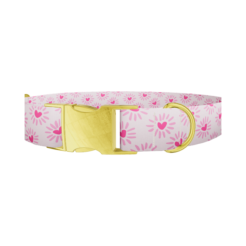 Heart Burst Dog Collar