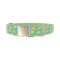 Blue Taco Dog Collar - Thumbnail 3