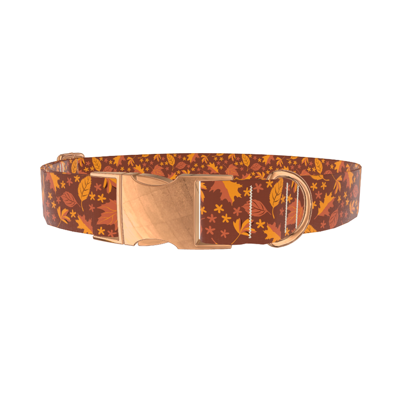Autumn Foliage Dog Collar