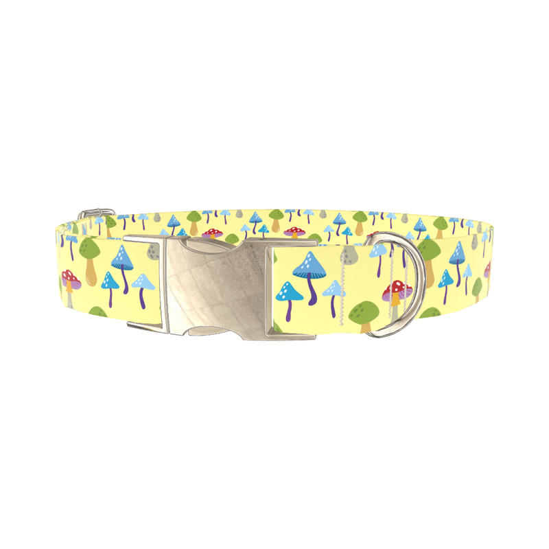 Colorful Mushroom Forest Dog Collar