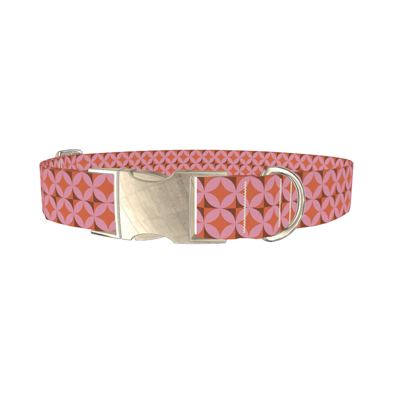 Geometric Star Dog Collar