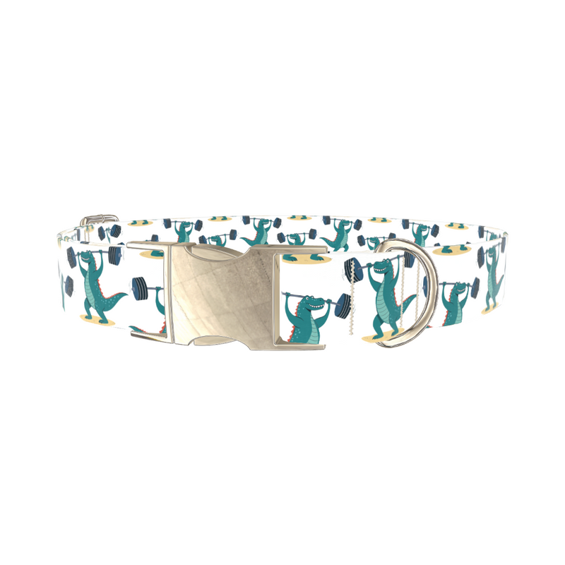 Dinosaur Powerlifting Dog Collar
