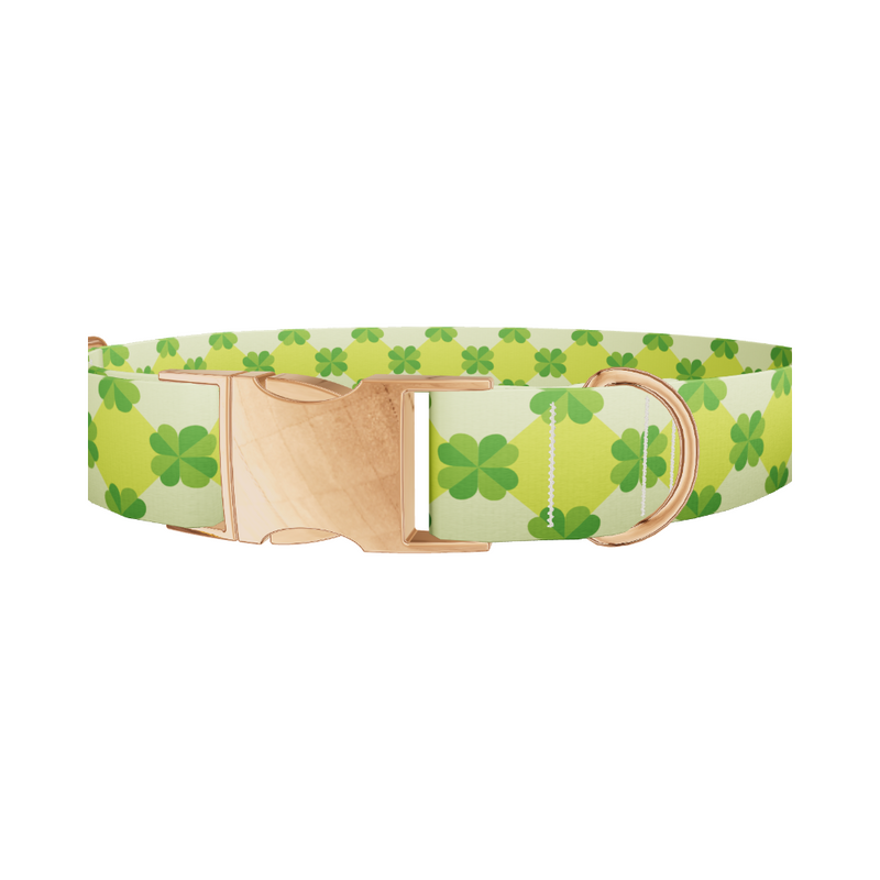 Shamrock Geometric Dog Collar