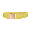 Golden Kiwi Color Dog Collar - Thumbnail 2