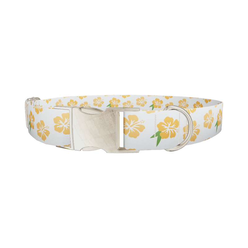 Tropical Hibiscus Dog Collar