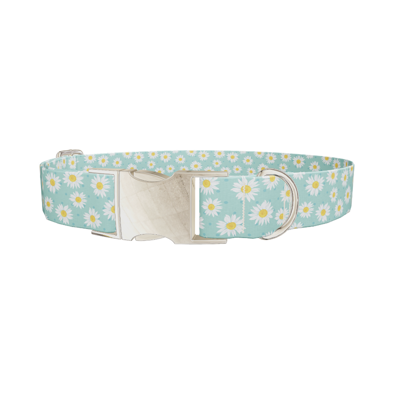 Teal Polka Dot Daisy Dog Collar